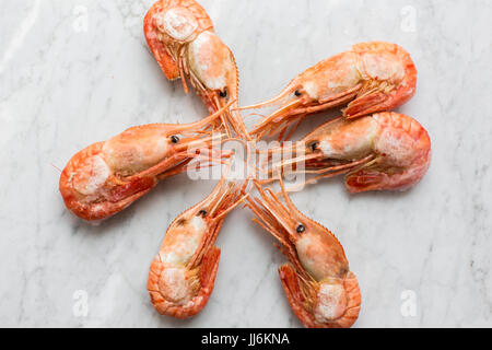 Schöne frische Garnelen auf hellem Marmor Grund. Stockfoto