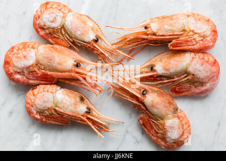 Schöne frische Garnelen auf hellem Marmor Grund. Stockfoto