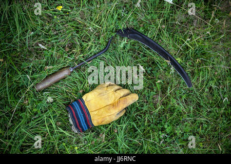 Landwirtschaft, Hintergründe, Blade, Getreidepflanze, Schneiden, schmutzig, Bauernhof, Landwirt, Gartenarbeiten, Gartengeräte, Griff, Ernte, Haken, Stockfoto