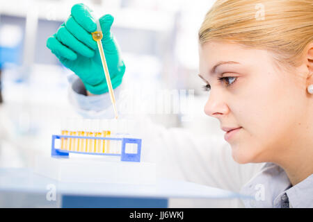 Frau Arbeit Pipetten und Reagenzgläser Stockfoto
