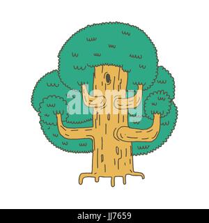 Großer Baum Skizze isoliert. Eiche Hand-Zeichnung. Stock Vektor