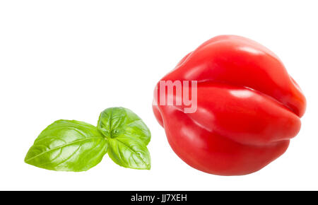 Basilikum und Tomaten, isoliert auf weiss Stockfoto