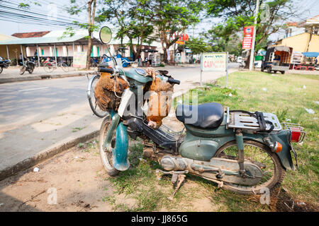 Mittleren Vietnam - 14. März 2017: traditionelle Art und Weise für den Transport von lebendem Geflügel ist, die Vögel, den Roller zu binden Stockfoto