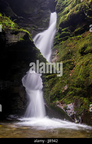 Der Wasserfall am Nectan Glen in Cornwall. Stockfoto