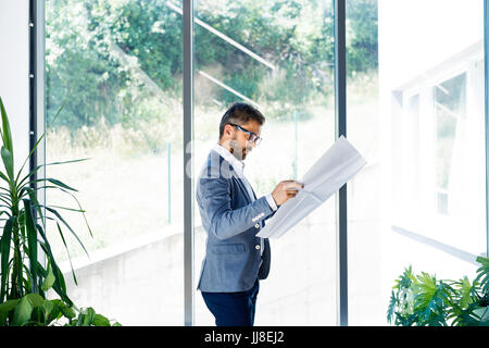 Junge hübsche Geschäftsmann in seinem Büro Pläne zu studieren. Stockfoto