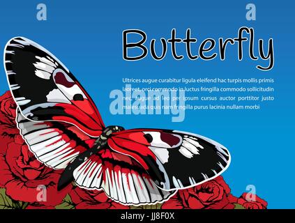 Schmetterling auf Blumen rote Rosen auf einem blauen Himmelshintergrund und Platz für Text, Vektor-Banner, Karte, Plakat Stock Vektor