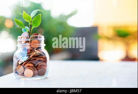 In Geld zu Pflanzen, wachsen in Münzen Stockfoto