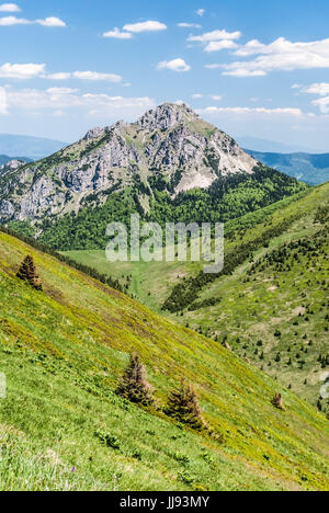 Velký Rozsutec Hügel von Steny Gebirgskamm in Krivanska Mala Fatra Gebirge in der Slowakei im schönen Tag mit blauem Himmel und einige Wolken Stockfoto