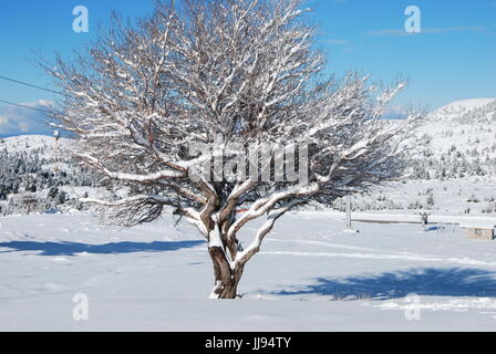 Kalavrita-Ski-Zentrum Stockfoto