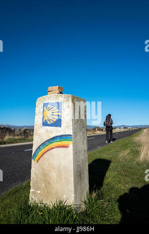 Frau zu Fuß vorbei an einer Jakobsmuschel Shell Schild, Camino de Santiago, Spanien Stockfoto