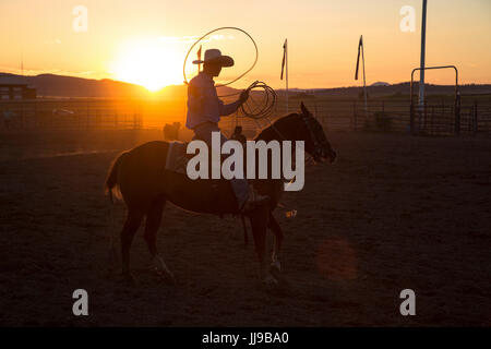 Ein Cowboy wirft ein Lasso in der Luft bei Sonnenuntergang bei einem Rodeo in Utah. Stockfoto