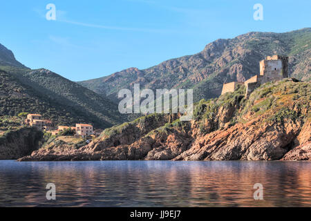 Tour de Girolata, La Scandola, Naturschutzgebiet, Porto, Korsika, Frankreich Stockfoto