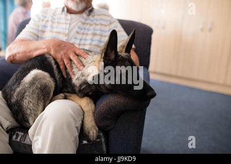 Mittelteil der ältere Mann, sitzend mit Welpen auf Sessel im Altenheim Stockfoto