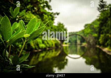 Rakotz Brücke in Bad Muskau Deutschland Nahaufnahme Stockfoto