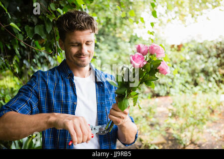 Mann trimmen Blumen mit Gartenscheren im Garten an einem sonnigen Tag Stockfoto