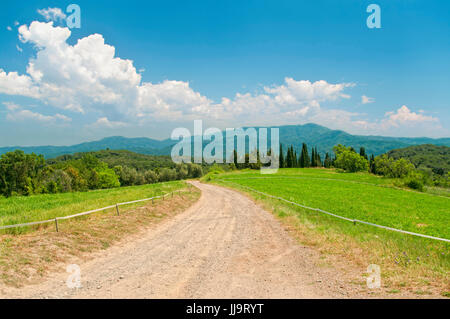 Blick auf Feldweg gehen durch Ackerflächen im Naturpark Montseny an sonnigen Sommertag, Barcelona, Katalonien, Spanien Stockfoto