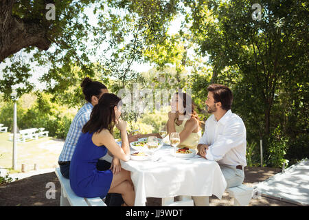 Gruppe von Freunden, die miteinander interagieren, während dem gemeinsamen Mittagessen im restaurant Stockfoto