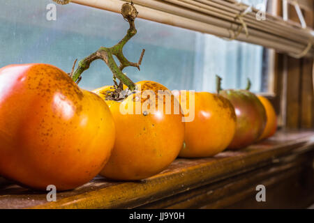 Horizontale Foto orange farbigen Tomaten Reifen auf einem hölzernen Fensterbrett Stockfoto