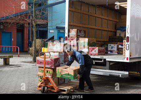 Mann entladen Produkte von der Rückseite eines LKW. Stockfoto