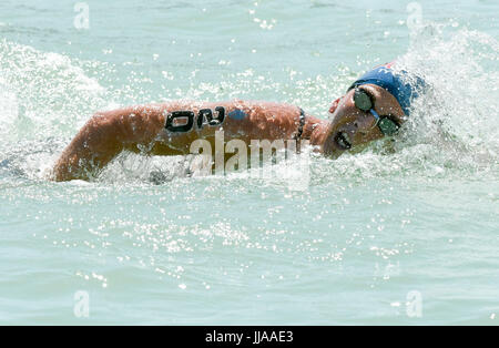 Balatonfüred, Ungarn. 19. Juli 2017. Ashley Twichell der USA konkurrieren im Wettbewerb der Frauen 5 km Freiwasser bei den FINA-Weltmeisterschaften in Balatonfüred, Ungarn, 19. Juli 2017. Foto: Axel Heimken/Dpa/Alamy Live News Stockfoto