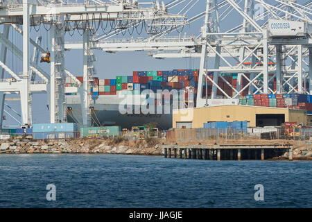 COSCO SHIPPING Container Ship, COSCO AMERICA, wird im Long Beach Container Terminal, Kalifornien, USA, geladen und entladen. Stockfoto