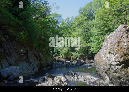 Fairy Glen ist eine entzückende Schönheit Stelle im Fluss Conwy nahe Betws-y-Coed Stockfoto