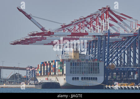 Containerschiff, OOCL LONG BEACH, in den Hafen von Long Beach, Kalifornien, USA entladen. Stockfoto