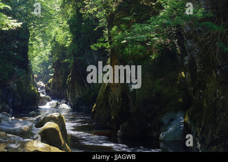 Fairy Glen ist eine entzückende Schönheit Stelle im Fluss Conwy nahe Betws-y-Coed Stockfoto