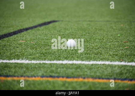 Lacrosse Kugel schleift zum Stillstand am Rande des Feldes. Stockfoto