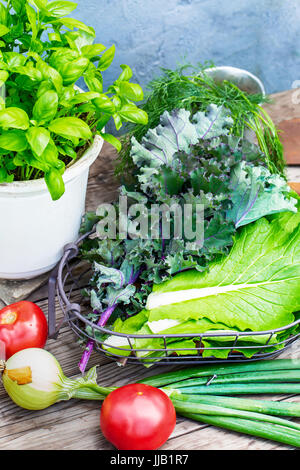 Kohl und anderen Gemüsesorten und Kräuter Stockfoto