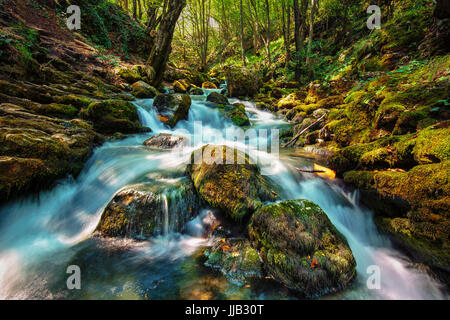 Fluss in einem Laubwald mit moosigen Felsblöcken Stockfoto