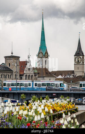 Frühlingsblumen säumen das Ufer des Zürichsees, während die Innenstadt unter den berühmten Uhrtürmen umzieht Stockfoto