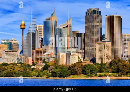 Hohe Türme von hohen Bürogebäuden in Sydney Stadt CBD stehen über den Royal Botanic Gardens von Sydney Harbour an einem sonnigen Tag gesehen. Stockfoto