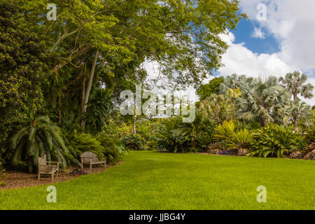 Fairchild Tropical Botanic Garden eine 83 Hektar großen tropischen botanischen Garten in Coral Gables, Florida Stockfoto