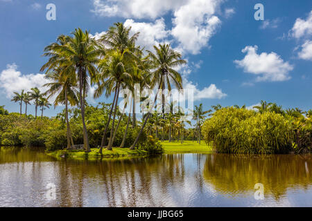 Fairchild Tropical Botanic Garden eine 83 Hektar großen tropischen botanischen Garten in Coral Gables, Florida Stockfoto