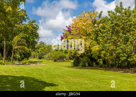 Fairchild Tropical Botanic Garden eine 83 Hektar großen tropischen botanischen Garten in Coral Gables, Florida Stockfoto