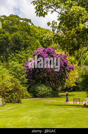 Fairchild Tropical Botanic Garden eine 83 Hektar großen tropischen botanischen Garten in Coral Gables, Florida Stockfoto