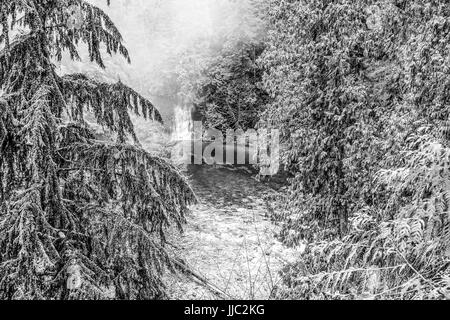 Wunderbare Capilano Suspension Bridge Park in Kanada - CAPILANO - Kanada - 12. April 2017 Stockfoto