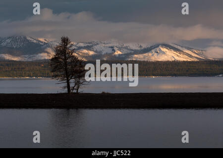 Gewitterwolken über die tief verschneiten Absaroka Berge mit goldenen Abendlicht auf der anderen Seite des Yellowstone Lake getroffen. Yellowstone-Nationalpark, W Stockfoto