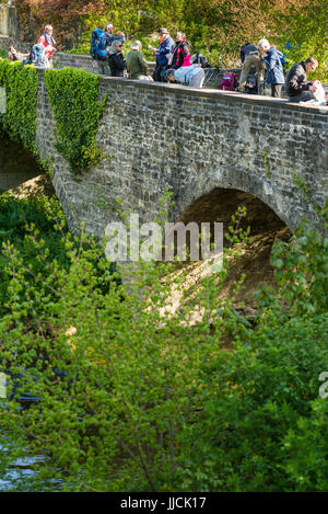 Pilger auf der Brücke machen Sie Pause in Larrasoana, Spanien, Europa. Der Weg von Zubiri nach Pamplona, Camino de Santiago. Stockfoto