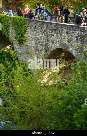 Pilger auf der Brücke machen Sie Pause in Larrasoana, Spanien, Europa. Der Weg von Zubiri nach Pamplona, Camino de Santiago. Stockfoto