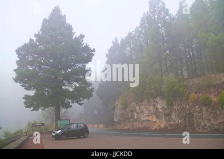 Schwarz econobox durch lacet Straße bei oservation Deck im Bergwald von El Teide National Park, Teneriffa, Kanarische Inseln, Spanien geparkt Stockfoto