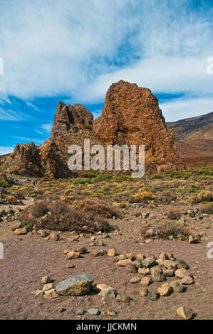 Blick auf Felsen und Pflanzen im Nationalpark el Teide, Teneriffa Stockfoto