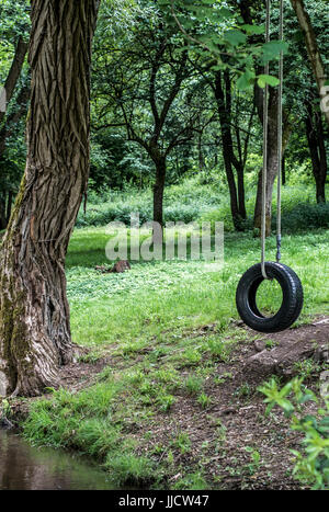 Pkw-Reifen als Schaukel an einem Baum im Wald an einem Bach Bach verwendet. Konzept-Foto von Kindheit, Nostalgie, Erinnerung, Vergangenheit, Leben Retro, vintage Stockfoto