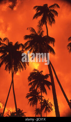 São José da Coroa Grande Strand, Pernambuco, Brasilien Stockfoto