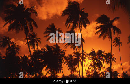 São José da Coroa Grande Strand, Pernambuco, Brasilien Stockfoto