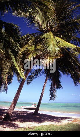 São José da Coroa Grande Strand, Pernambuco, Brasilien Stockfoto