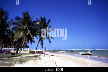 São José da Coroa Grande Strand, Pernambuco, Brasilien Stockfoto