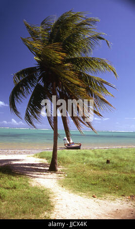 São José da Coroa Grande Strand, Pernambuco, Brasilien Stockfoto