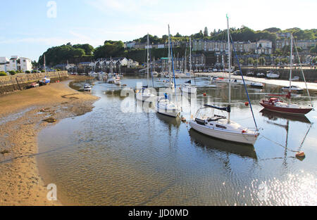 Yachten im Hafen Marina Ebbe, Porthmadog, Gwynedd, Nord-West-Wales, UK Stockfoto